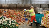 Se tiran al año 30 millones de toneladas de comida y 20.9 millones de mexicanos pasan hambre
