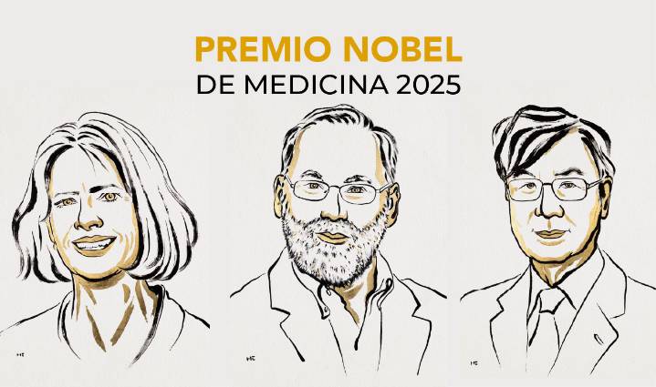 Otorgan el Premio Nobel de Medicina 2025 por descubrir cómo el sistema inmunológico se controla a sí mismo