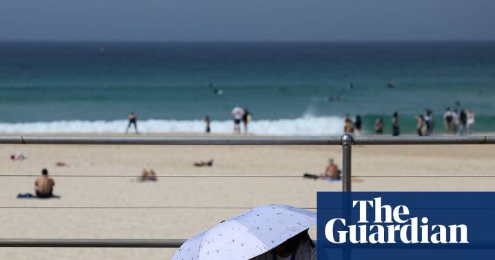 Afternoon Update: heatwave and wild winds grip nation; Palestinians with Australian visas trapped in Gaza; and Hollywood A