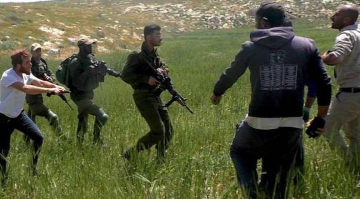 Increasing Israeli settler violence against Palestinian farmers raises concern with UN human rights office