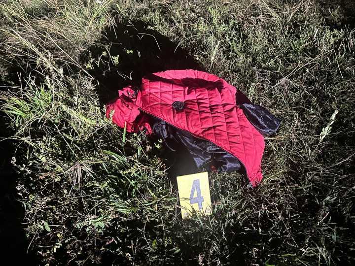 Frustran atentado con explosivos en La Plata, Huila