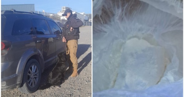 Llevaba cocaína en el auto y trató de huir: debieron pedir refuerzos para detenerlo