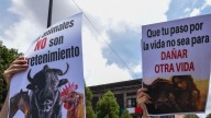 Colectivos defensores de los derechos de los animales piden prohibir las corridas de toros en Hidalgo