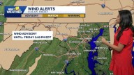 Halloween forecast in Baltimore: It’s going to get windy