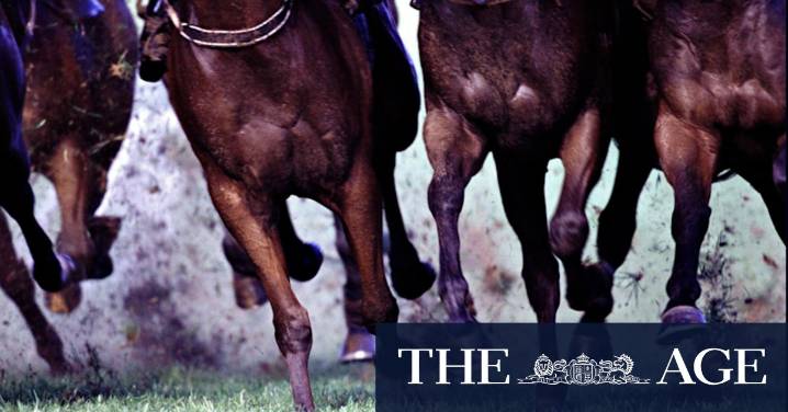 Race-by-race preview and tips for Taree on Friday
