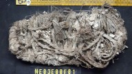 Scientists find a medieval sandal and other unexpected artifacts in vulture nests in Spain