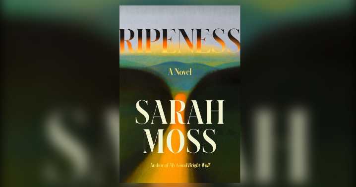 Review: A woman reflects on the summer her life changed in ‘Ripeness’