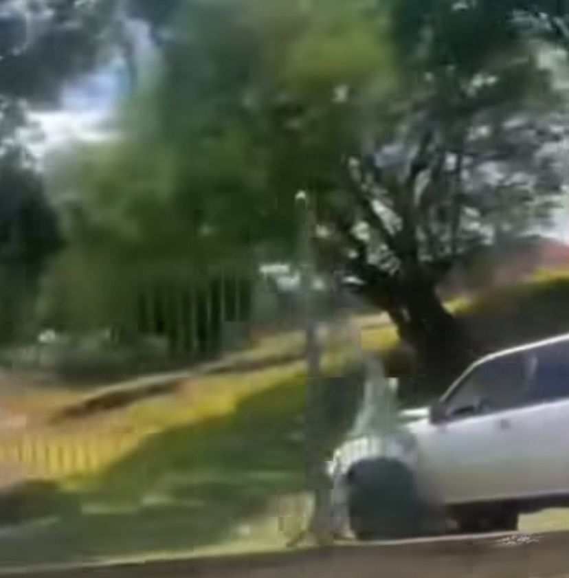 Una camioneta chocó contra la Casa San Isidro