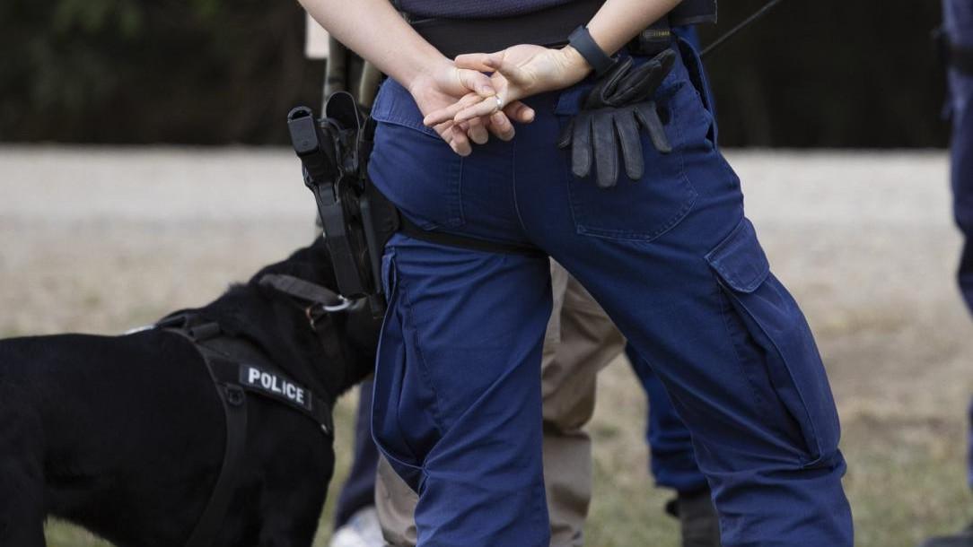 Major development in music festival strip search class action
