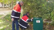 Zaragoza activa el plan de desratización en el alcantarillado: zonas en obras donde ha actuado