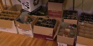 Minot winemaker reuses thousands of glass bottles for wine