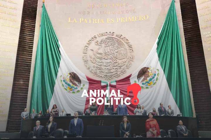 Diputados de Morena y aliados aprueban ley de extorsión; reducen penas para funcionarios cómplices