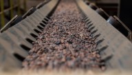 La caída del precio del cacao a su mínimo en 20 meses pone fin al repunte de dos años