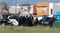 Rescatan a León con Signos de Desnutrición en Casa en Juárez, Nuevo León