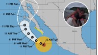 Huracán 'Priscilla': surfista desobedece advertencias y casi muere ahogado; socorrista lo salvó