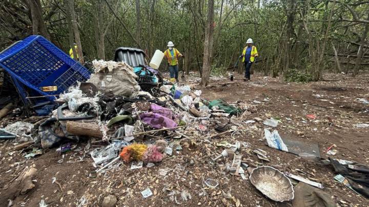 Where did Austin clear homeless encampments in the first week of its surge?