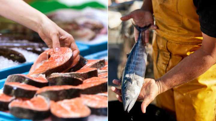 Experto explica cuáles son las tres señales que debe ver antes de comprar un pescado para asegurarse de que esté fresco