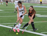 MIAA releases brackets for state field hockey tournaments