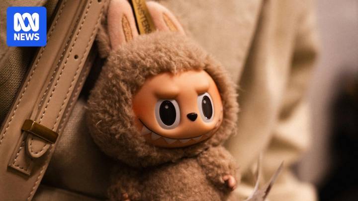 Man charged in Melbourne after police seize dozens of Labubu dolls