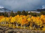 Where in the world is this? — and other pressing questions. It's the Country Life Quiz of the Day, October 14, 2025