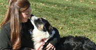 NH ranks as third-best state to own a dog