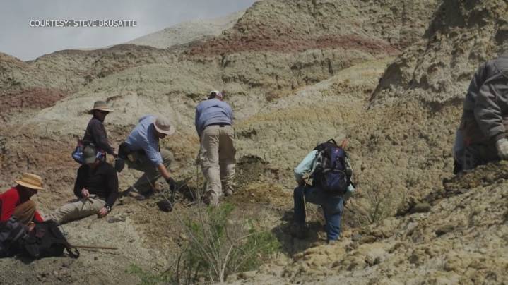 Study: Dinosaur fossils found in New Mexico date to time of mass extinction event