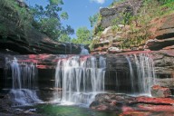 Caño Cristales florece y abre su temporada