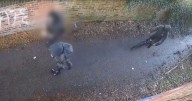'These innocent people trusted in good will, but what greeted them was truly appalling'