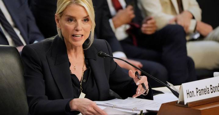 Pam Bondi's bad behavior was intended to please one person