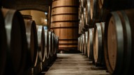 GM Breweries Q2 Results: Net Profit Jumps 61%, Margin Improves