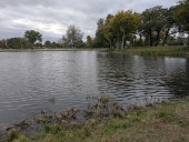 Aurora looks to improve Mastodon Lake at Phillips Park