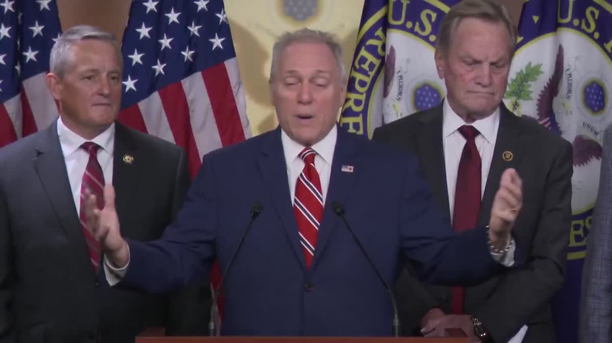 Steve Scalise Whines That Dems Are Being Mean Over Trump's WH Demolition