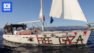 Detained Australians report rough treatment after Gaza flotilla detention