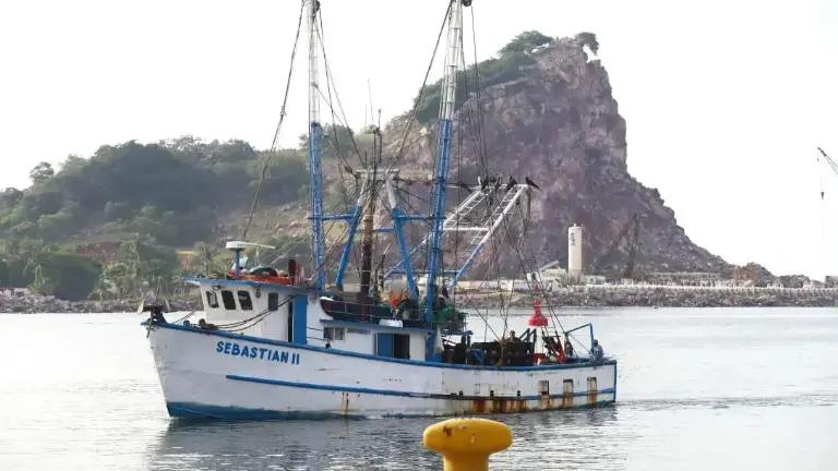 Prevalecen críticas capturas de camarón en la primer semana de pesca