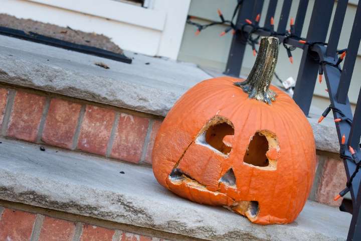 The cost of candy is “too damn high”