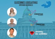 Nuevos diputados por Salta: Flores y Zapata, por LLA y Biella, de Primero los Salteños