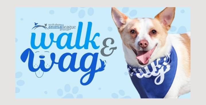 VíveloLI : «Walk & Wag 2025» Caminata para Perros y Familias en Glen Cove