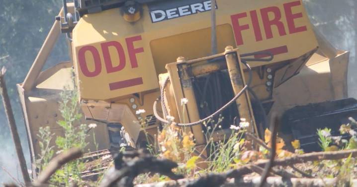 Oregon Department of Forestry lifts fire restrictions following season with fewer acres burned