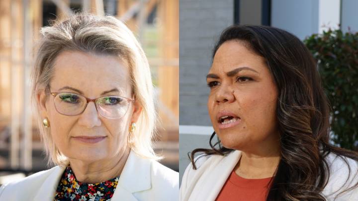 ‘We look like a clown show’: Senator Jacinta Nampijinpa Price demands Sussan Ley put an end 'juvenile' internal leaks