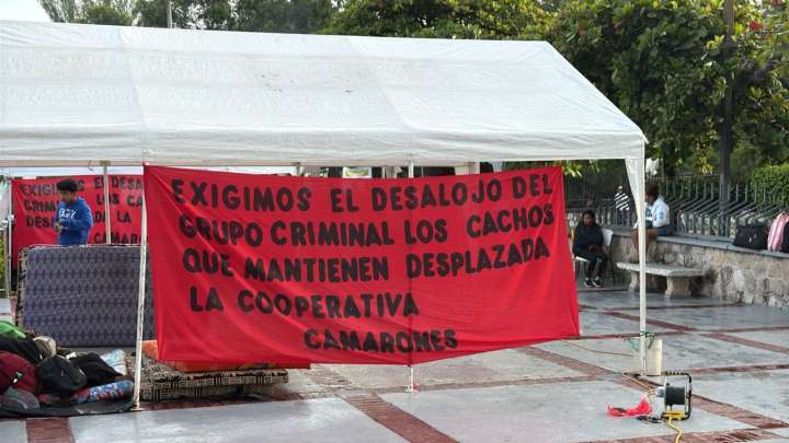 Plataforma Agraria exige a la CSJ, la expulsión de banda criminal “Los Cachos” del Bajo Aguán