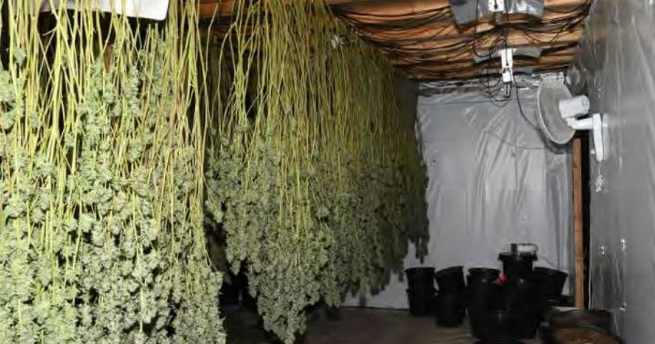 Police raid building in Manchester and find £1.3m crime den inside