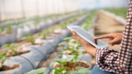 Inteligencia artificial en el campo: “El agro siempre se ha caracterizado por la adopción de tecnologías”