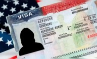 Revelan que EE.UU. emitió un 20% menos de visas estudiantiles respecto al año pasado