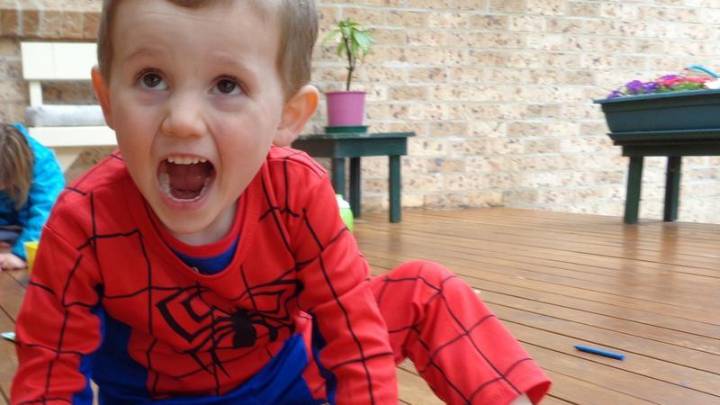 Spider-Man suit found less than 30 minutes from where William Tyrrell disappeared from in 2014