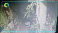 Cámara capta a ladrón en Playa del Carmen: el modus operandi del robo a casa habitación