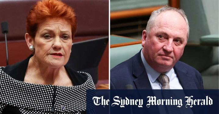 Pauline Hanson and Barnaby Joyce: One Nation leader dismisses claims former Nationals leader about to take over party