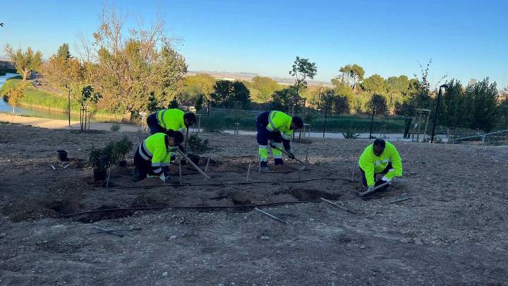 El Bosque de los Zaragozanos sigue creciendo: plantan 370 árboles y 4.100 arbustos en Parque Venecia