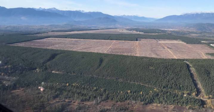 No refund for Chinese developer of stalled B.C. industrial park
