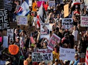 'No Kings' Protest: Millions show up against Trump's policies across US Photo Source: ANI [ FULL VIEW ]