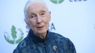 Jane Goodall’s cause of death revealed: report